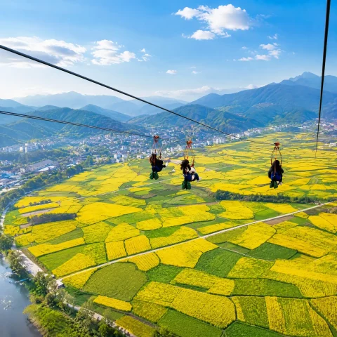 Zipline
