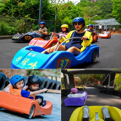 mountain coaster1