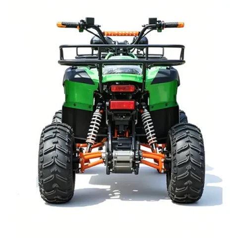 parent child snowmobile 4