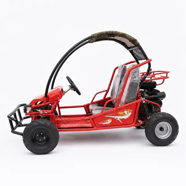 two seater single steering wheel off road go kart with roof1