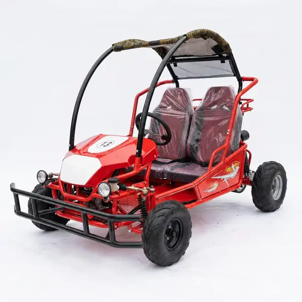 two seater single steering wheel off road go kart with roof3