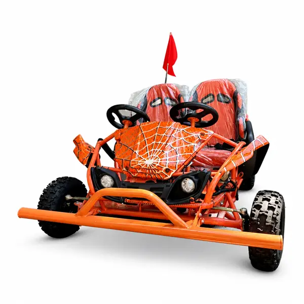 2 seater dual steering wheel off road go kart