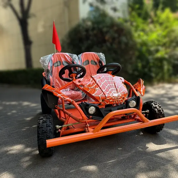 2 seater dual steering wheel off road go kart4