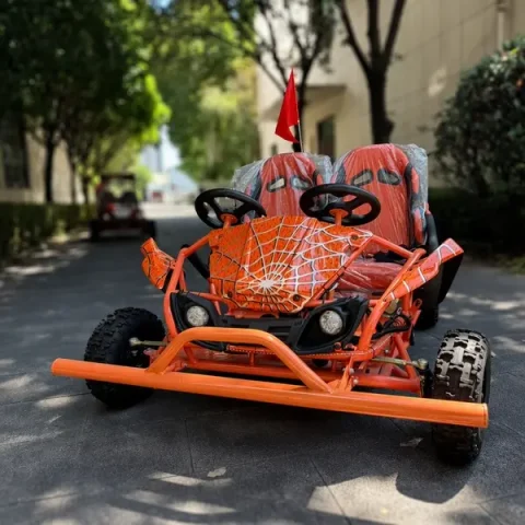 2 seater dual steering wheel off road go kart5