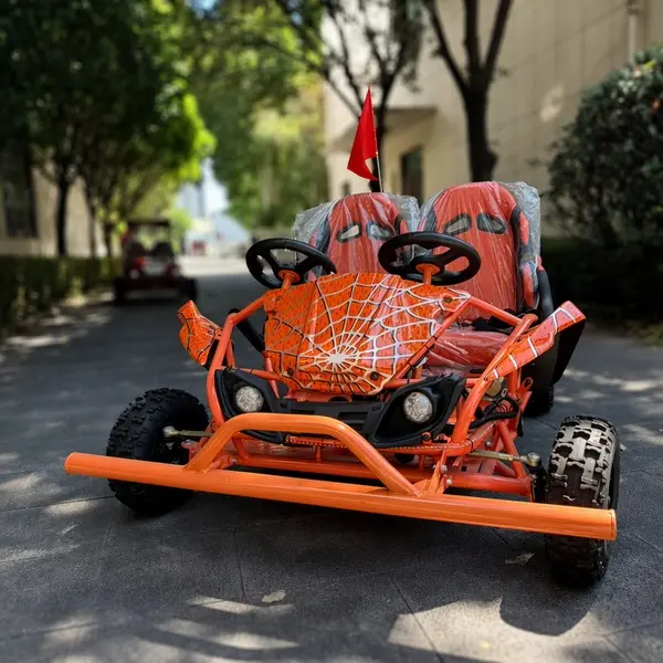 2 seater dual steering wheel off road go kart5