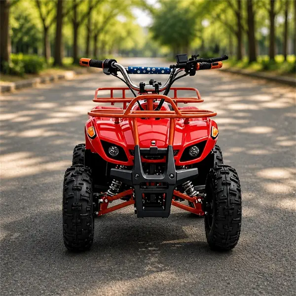 electric atv4