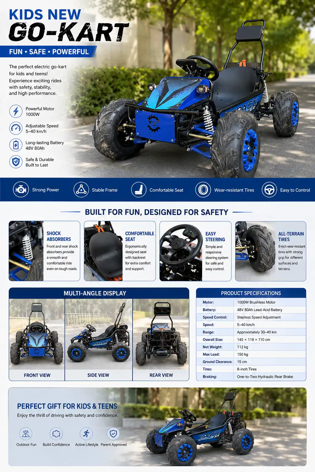 electric off road go kart11
