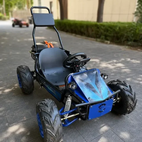 electric off road go kart2