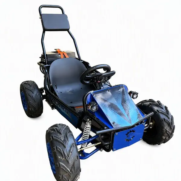 electric off road go kart6