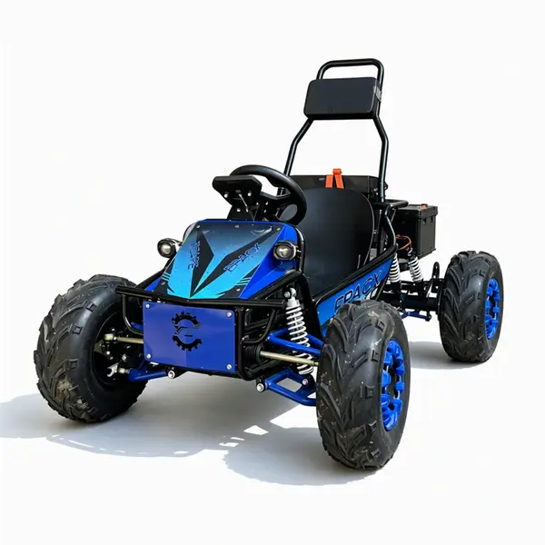 electric off road go kart8
