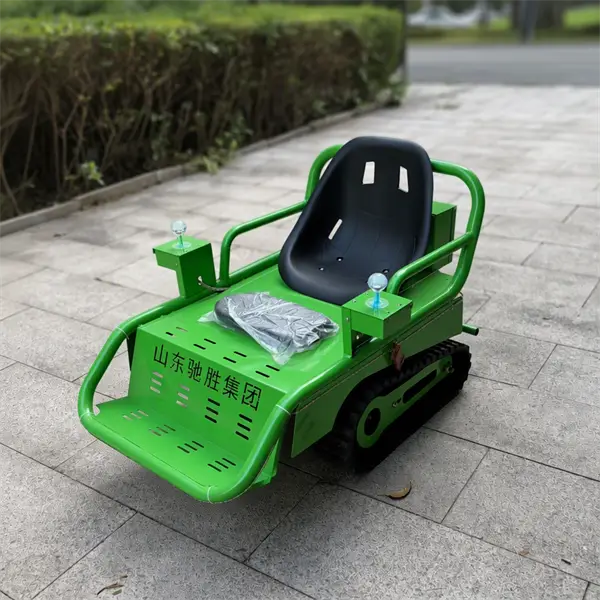 family tracked go kart1