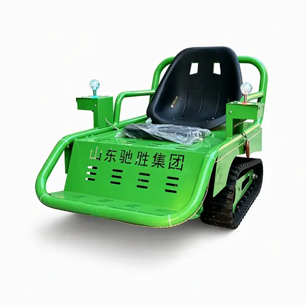 family tracked go kart11