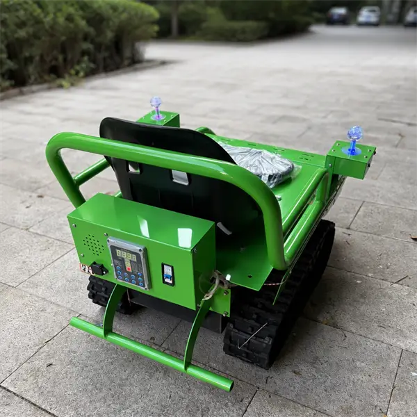family tracked go kart3