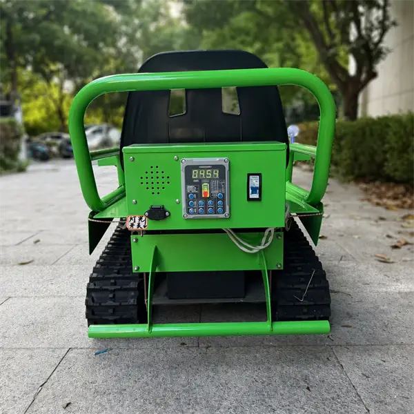 family tracked go kart4