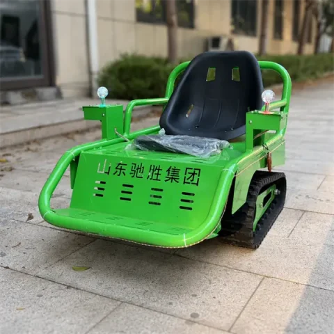 family tracked go kart6