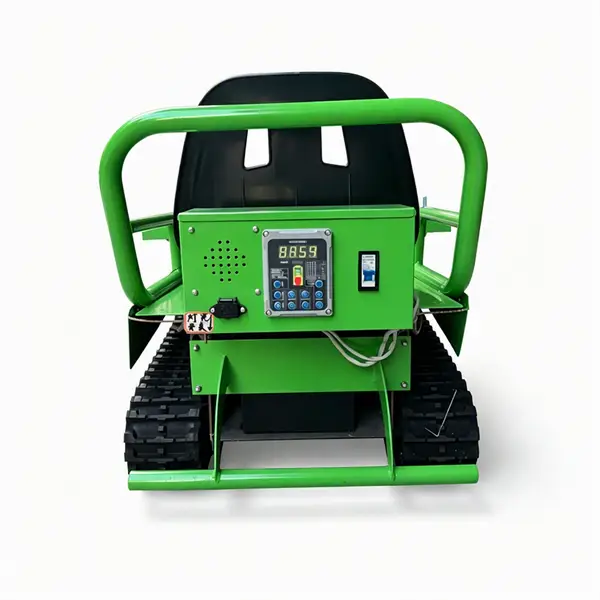 family tracked go kart9