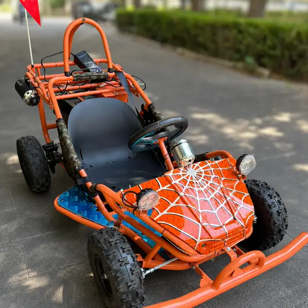 single seater go kart13