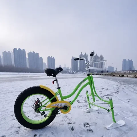snow bike
