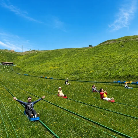 track skiing grass1