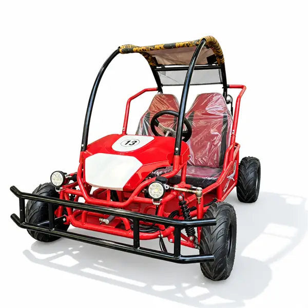 two seater single steering wheel off road go kart with roof18