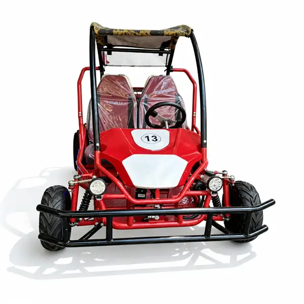 two seater single steering wheel off road go kart with roof19