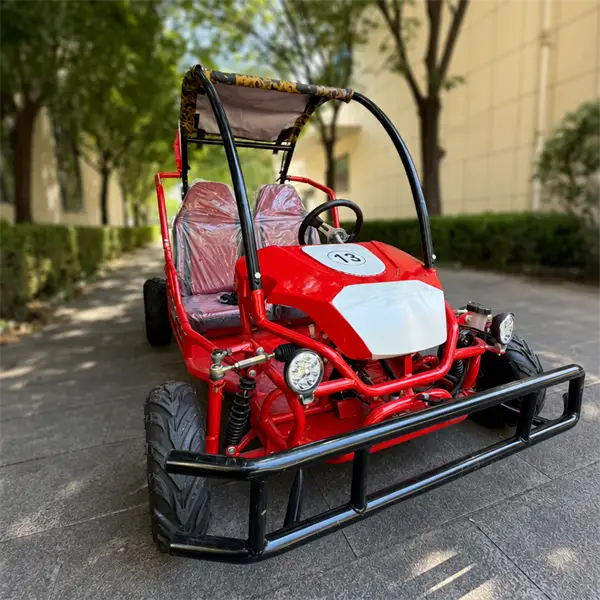 two seater single steering wheel off road go kart with roof31