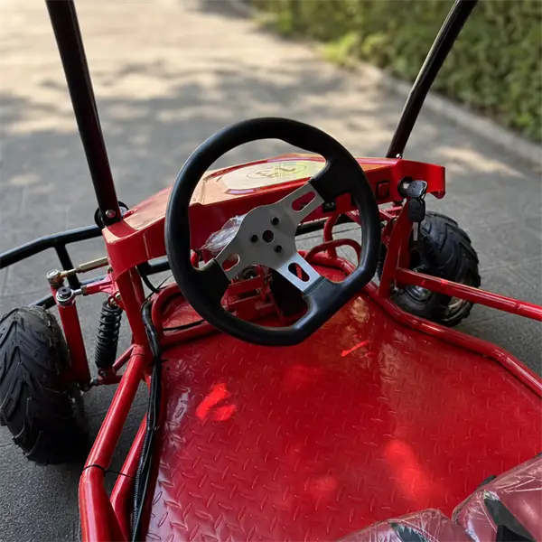 two seater single steering wheel off road go kart with roof32