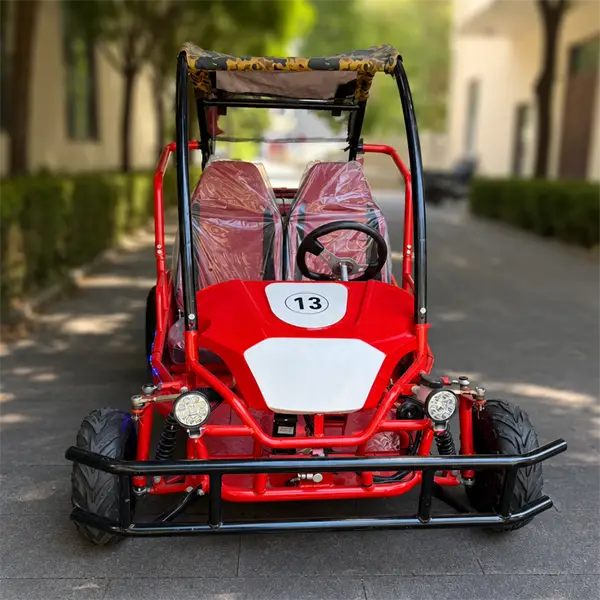 two seater single steering wheel off road go kart with roof34