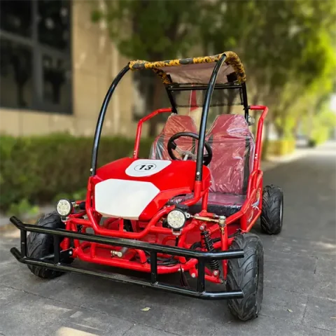 two seater single steering wheel off road go kart with roof35
