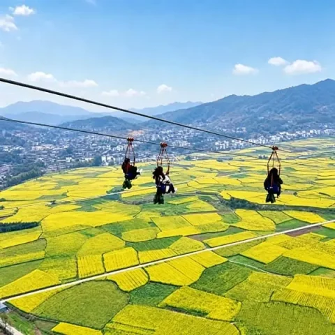 zipline6