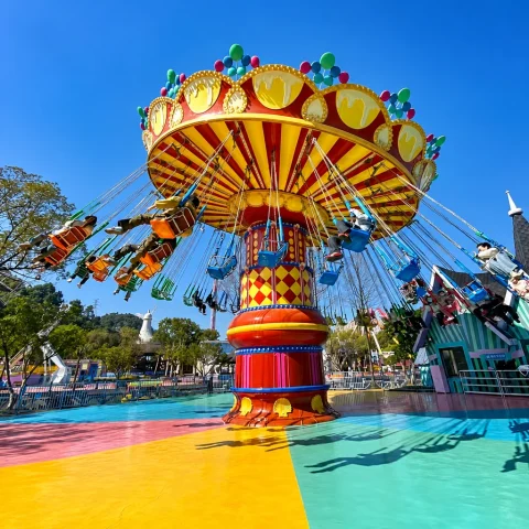 amusement park swing ride3