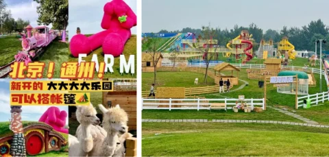 forest wonderland theme park7