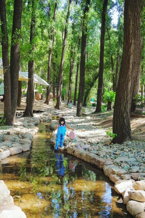 guanyun forest themed park case study1