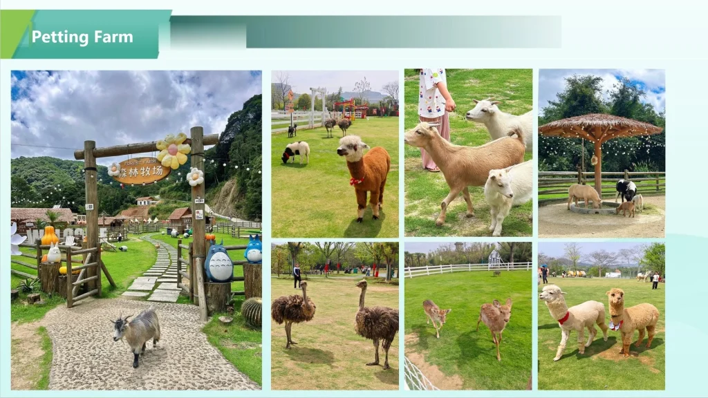 guanyun forest themed park case study22