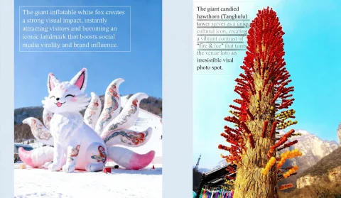 ice and snow carnival theme park10