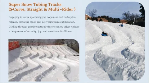 ice and snow carnival theme park14