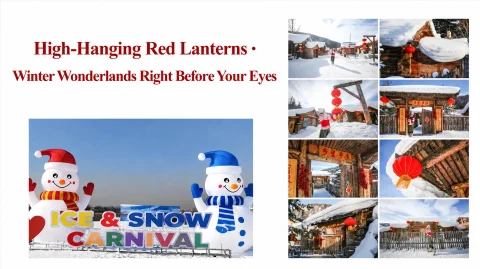 ice and snow carnival theme park26