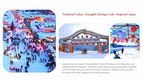 ice and snow carnival theme park27