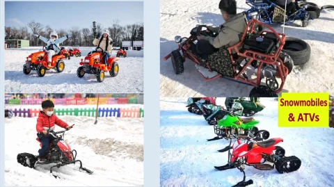 ice and snow carnival theme park30