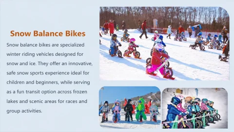ice and snow carnival theme park41