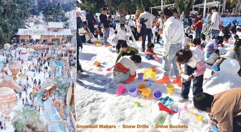 ice and snow carnival theme park44