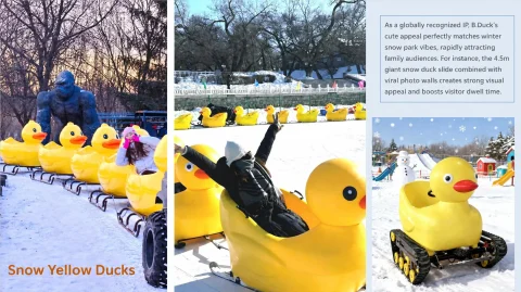 ice and snow carnival theme park46