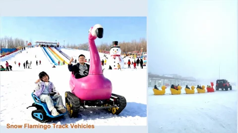 ice and snow carnival theme park47